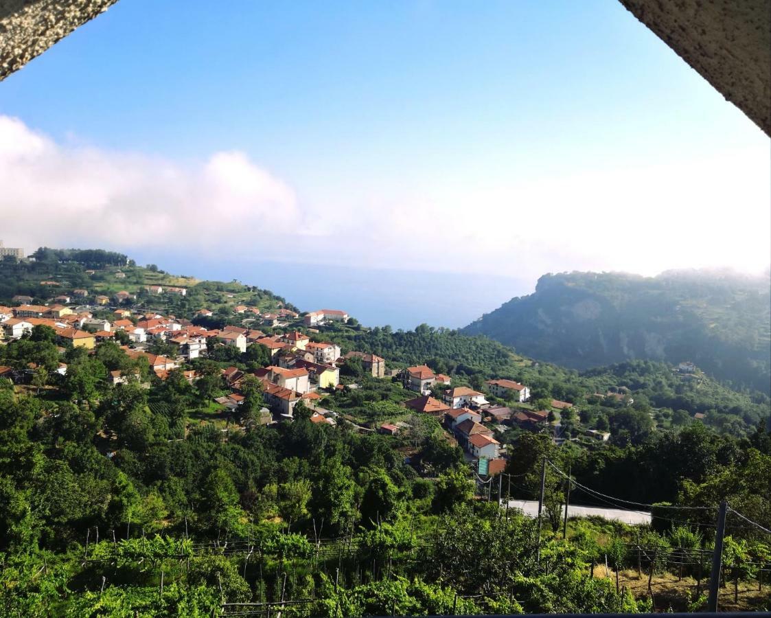Agriturismo Il Castagno Villa Agerola Exterior foto
