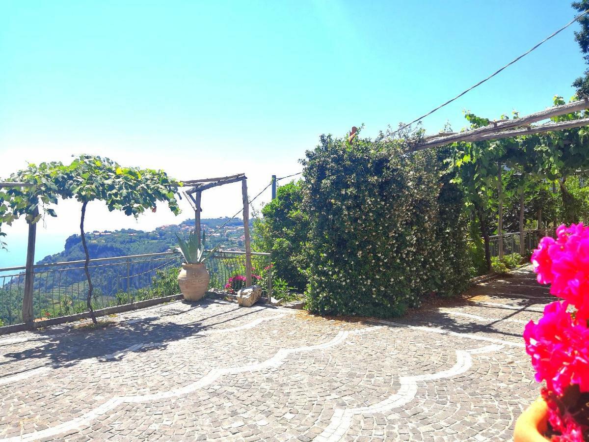 Agriturismo Il Castagno Villa Agerola Exterior foto