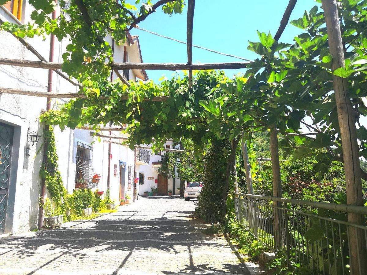 Agriturismo Il Castagno Villa Agerola Exterior foto