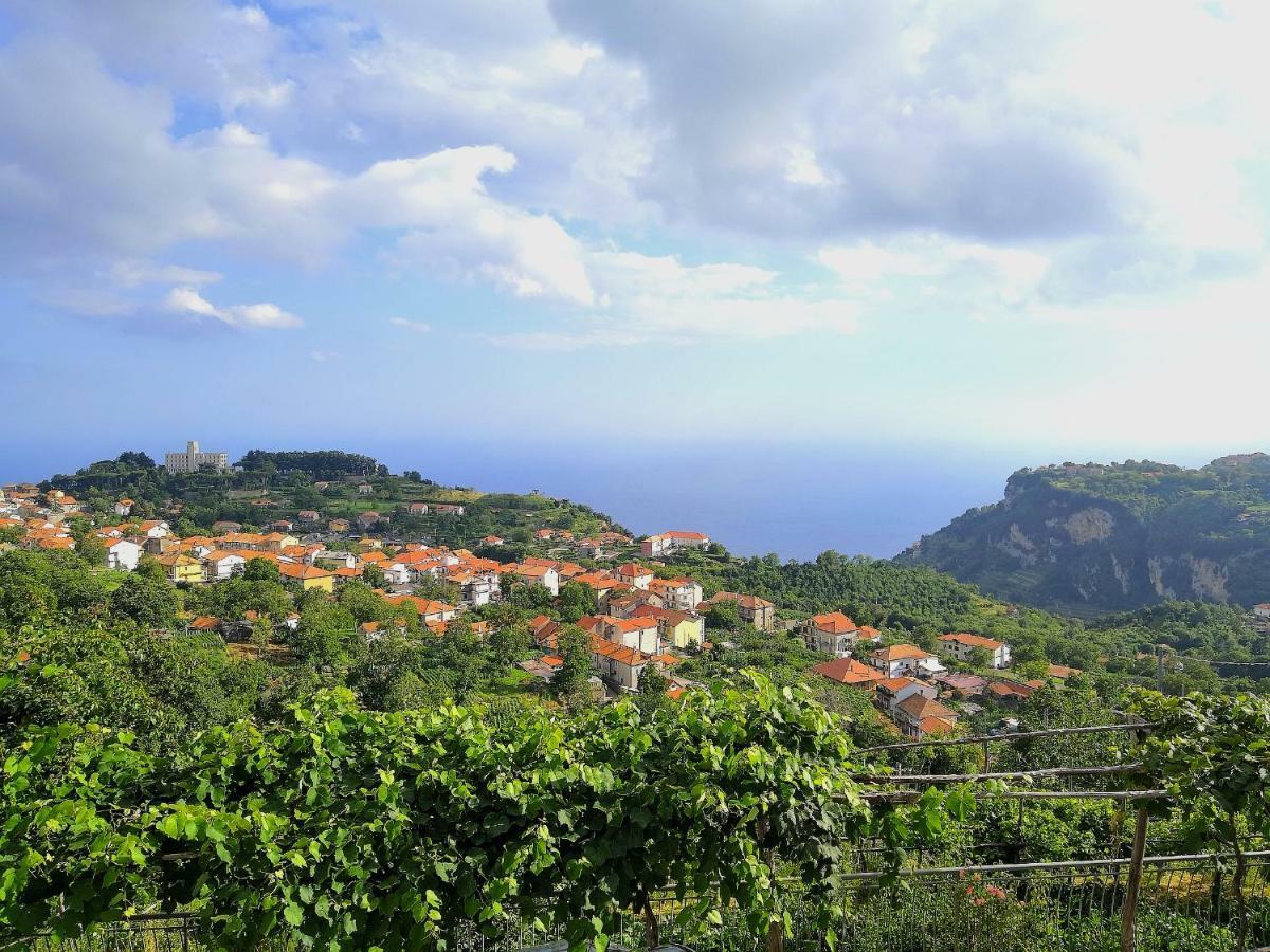 Agriturismo Il Castagno Villa Agerola Exterior foto